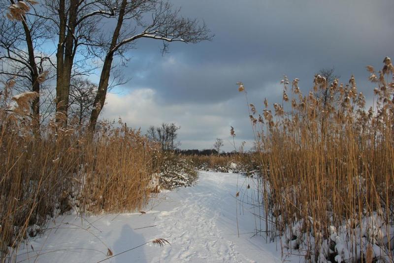 jtyjdfgshhjjj.thumb.jpg.43e454681b65bc00