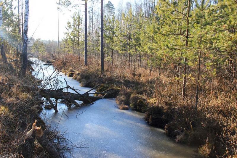 jtyjrdthdss.thumb.jpg.dabb533b83ef9ec68d