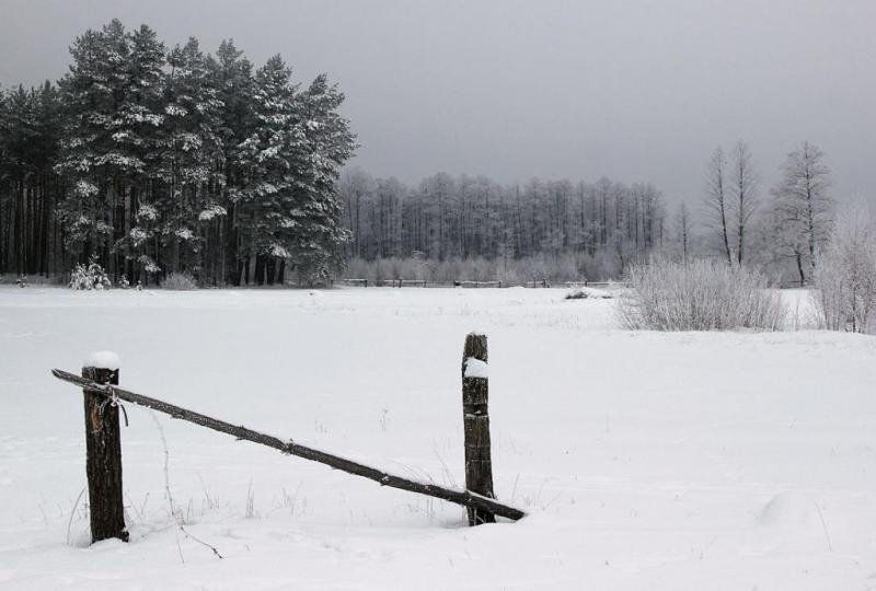 jujdfuuuu.thumb.jpg.02d630fbdab4993d08dc