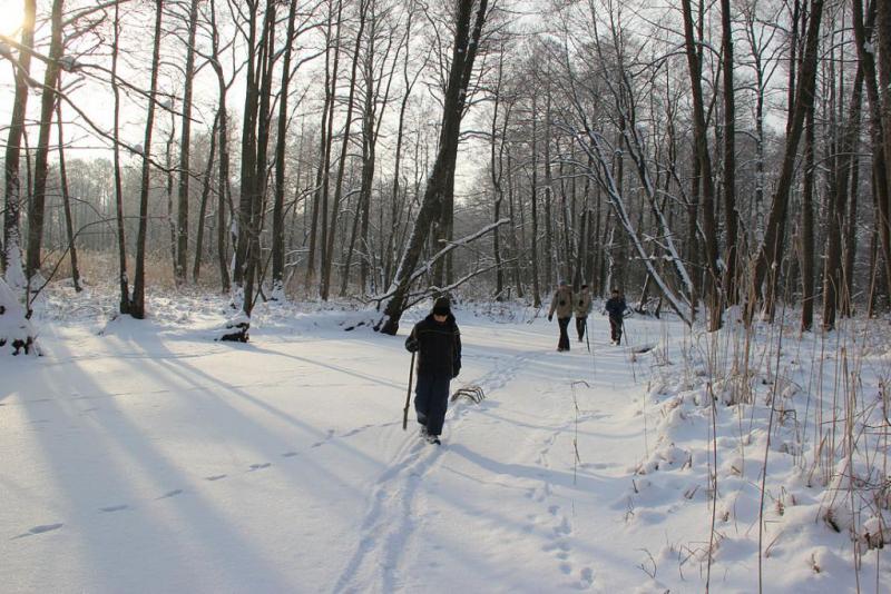 juyjrgsergsegtrhtyty.thumb.jpg.71eda8705