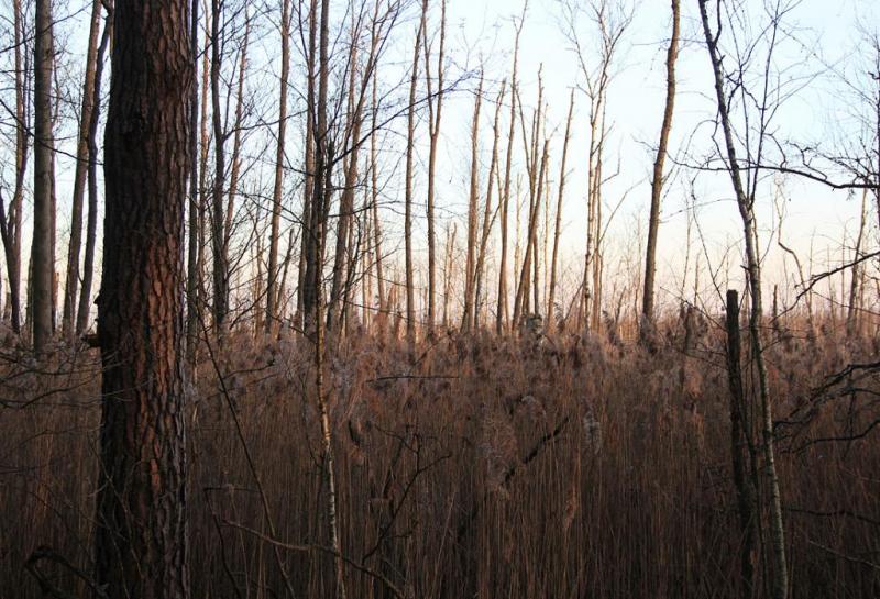 jyesrgwef.thumb.jpg.0cc1168e3f6d40a924cd