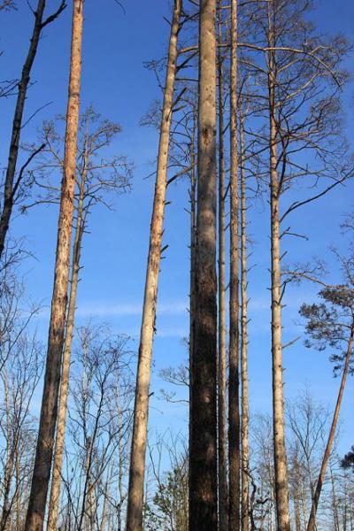 jyjxfgdsss.thumb.jpg.464604f77721a1a0ca1