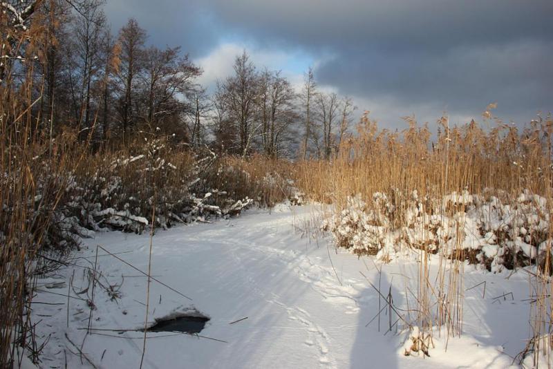 jythtfszfds.thumb.jpg.4dec2cf8d1e18f27b2