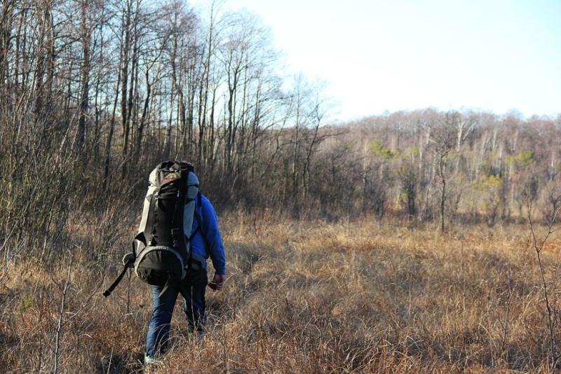 jytjddfgdf.thumb.jpg.6bb386a53e10af0a621