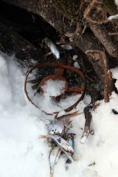 jyudtsdhhh.thumb.jpg.ff9da6616213ec1b320