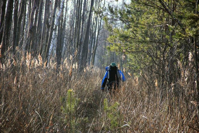 jyuhrdsssghh.thumb.jpg.928865947e077f460