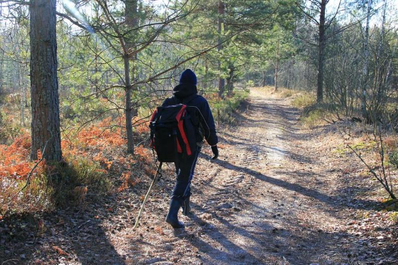 jyujhrss.thumb.jpg.70f5cead3ee51b0627794