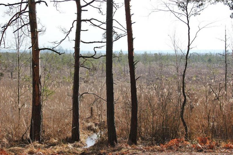 jyujrtgasef.thumb.jpg.44bfa3599bdd5e5925