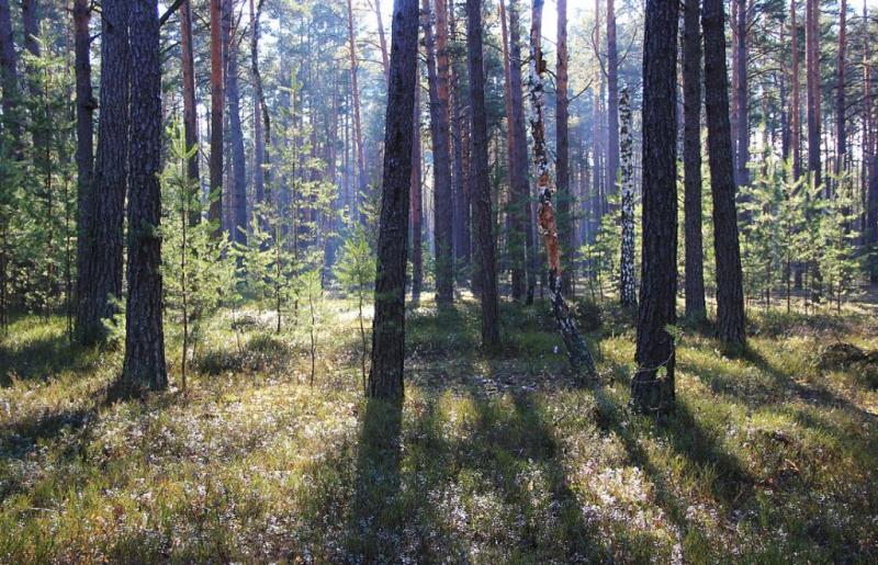 jyujsdzshyy.thumb.jpg.47bafff6729b59070d