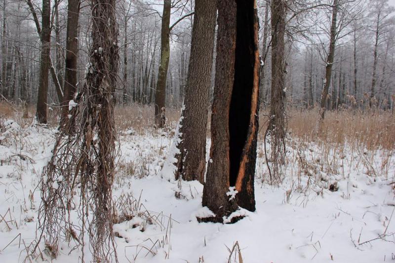 jyusdgsdasa.thumb.jpg.1e27362513a423b7b2