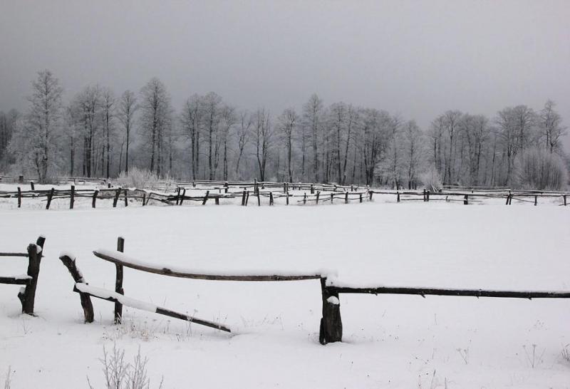 kdhrtgsdehtyh.thumb.jpg.33f77baf2dc68a5e