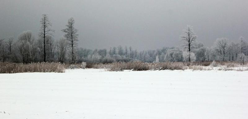 kfgh.thumb.jpg.7c6c22a96c3d606af375b5115