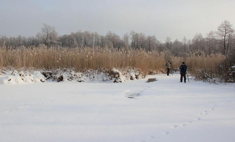 kfhdrgrgtyhy.thumb.jpg.c9980c120bb90da19