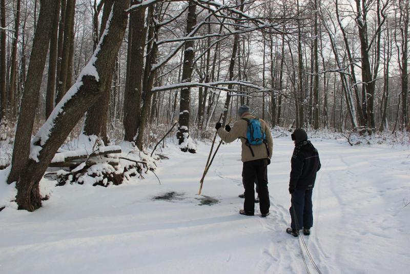 kgrseg.thumb.jpg.ec202e0edd36d8de5f196a4