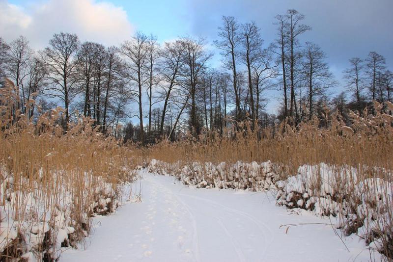 kihghdfsds.thumb.jpg.c385943498009ee3d64