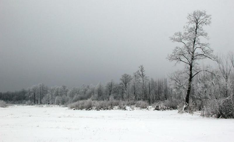 kihyttdrrttrtr.thumb.jpg.bfa0c326b857995