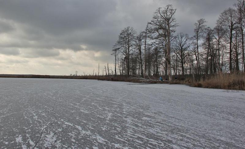 kityhnsdrgfzs.thumb.jpg.a1aa34e20da9189c