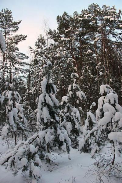 kiugsdrgttytyt.thumb.jpg.ed107c040f268af