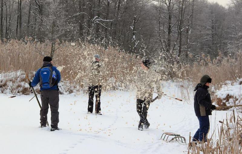 kiukdrhthgdr.thumb.jpg.cc03e74218f6dafa4