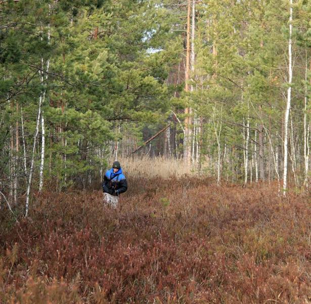 kiukfthdxzx.thumb.jpg.1f8dc87494d42314bf