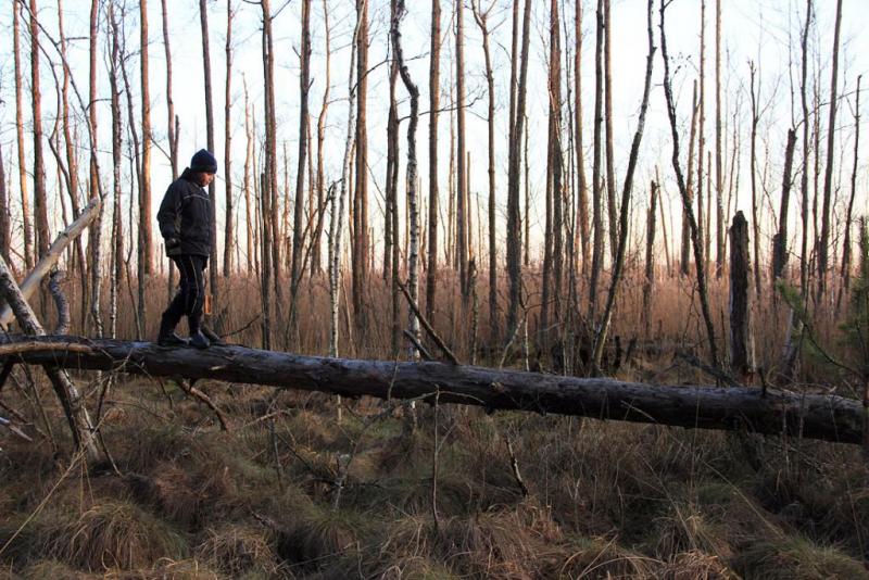 kjtyhsaaa.thumb.jpg.ac151f8e38d308895795