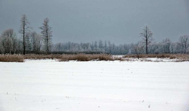 kluhjhtdrtyhjyj.thumb.jpg.4cff7cd3b5e22c