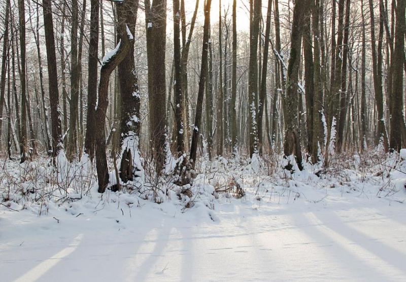 ktythgresr.thumb.jpg.df7a1126c838615427d