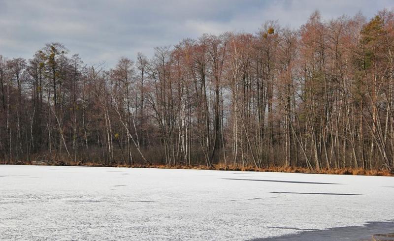 ktytsergsergtr.thumb.jpg.2cad40b13f70a2e