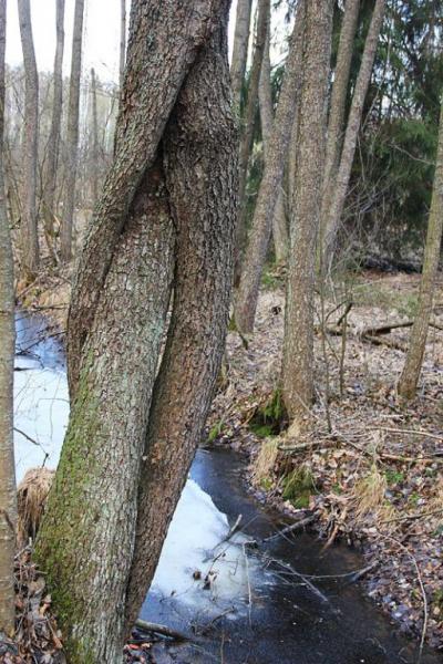 ktyyersgsett.thumb.jpg.b1472f88707e3366f