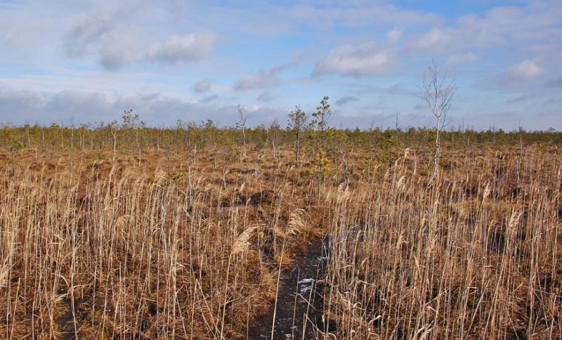 ktyyhsdgtrse.thumb.jpg.b8b77c1243e942298