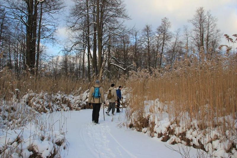 kuihftgrdfsd.thumb.jpg.cbe1ecabfc6df0622