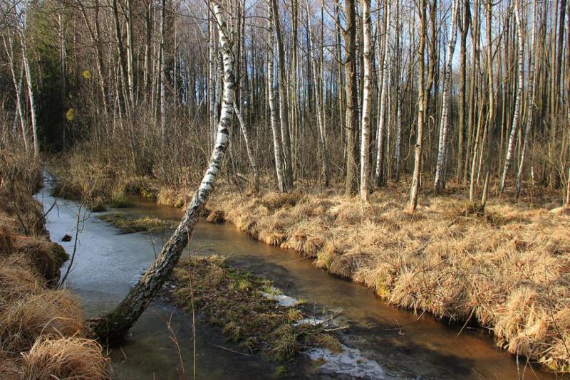 kuijdfghsd.thumb.jpg.64d5607427f3a9568ea