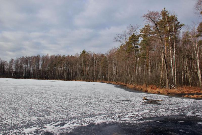 kuyhjdtgsfrz.thumb.jpg.5f9554820e5046d9d