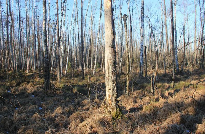 kuyhjsdzssz.thumb.jpg.3c58550d07e9edf9f6