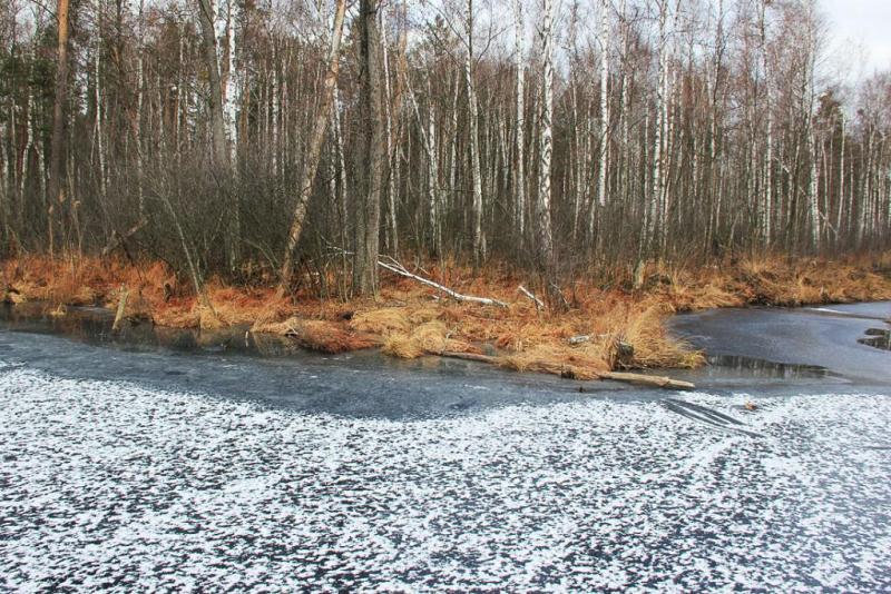 kuytdddddddddddhh.thumb.jpg.d0eecfd3e985