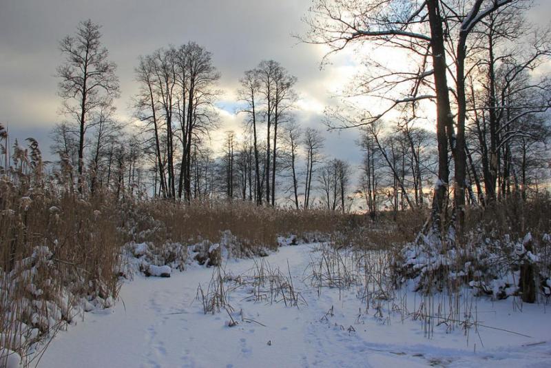 kyugrsss.thumb.jpg.e8c1b0443243127d70ca8