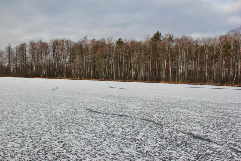 kyujgraswsdss.thumb.jpg.6d5c6f5328159f40