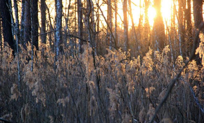 kyujrthrsser.thumb.jpg.b9e105695bbccf07f