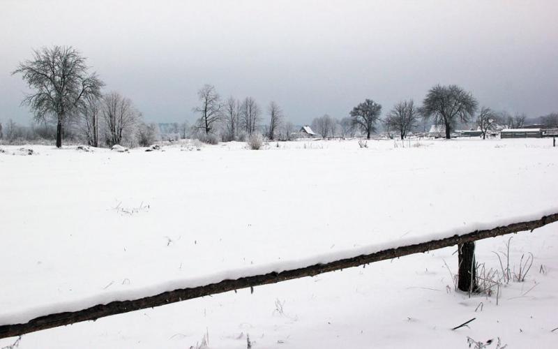 kyujtrererreer.thumb.jpg.0976c456f17d4ec