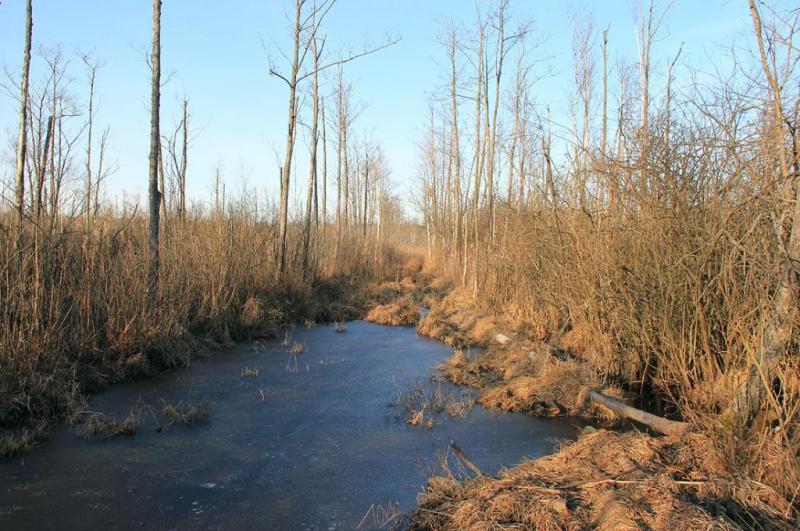 lkyujxdgzshjy.thumb.jpg.c2df7ac289e3c421