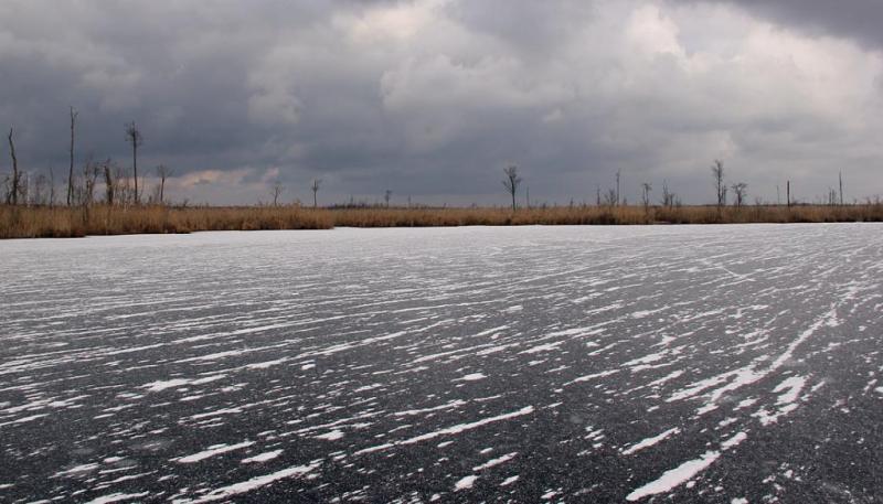 loxgdrhtr.thumb.jpg.9ac9467a2c4d899a5c34