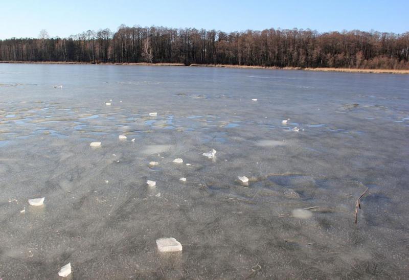 mygjufd.thumb.jpg.7505495e017a55ac790d42