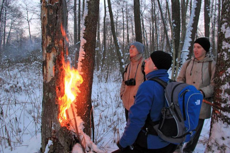 ntyhbdfssssssssss.thumb.jpg.c374c3d2ac1b