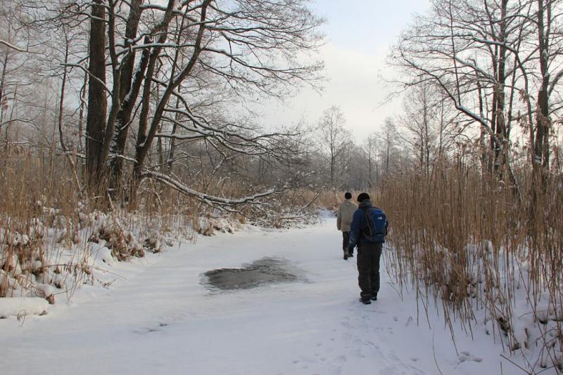 olfnjxdgdfgxd.thumb.jpg.44b52fe083281c50