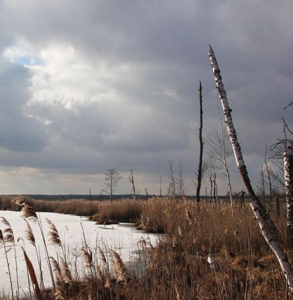 oplergttregt.thumb.jpg.24de082014b5e511f