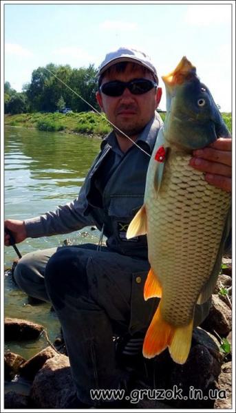 popla_karpfishing_1.thumb.JPG.a9f8baee5d