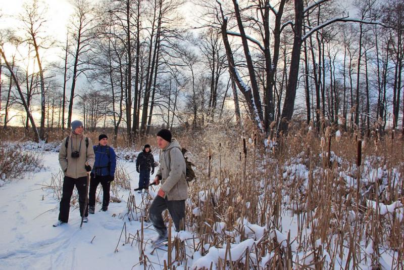 tjktyhrstse4444.thumb.jpg.bbc18c80980fe4