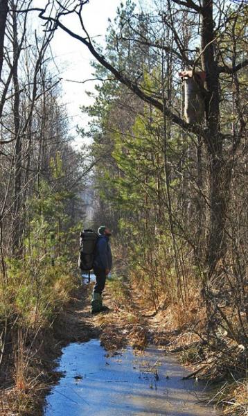 trherfsees.thumb.jpg.6c8f01781df34505a1a