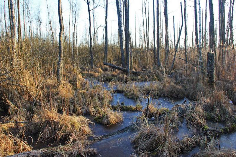 trhyertyers.thumb.jpg.0d7d2f8a8d41093c2b