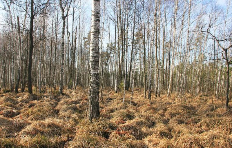 trtrfr.thumb.jpg.e3aaeff1fa154a9e88af974